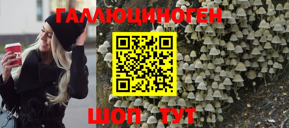 Псилоцибиновые грибы прущие грибы  что такое наркотик  Ярцево  Вход с VPN 