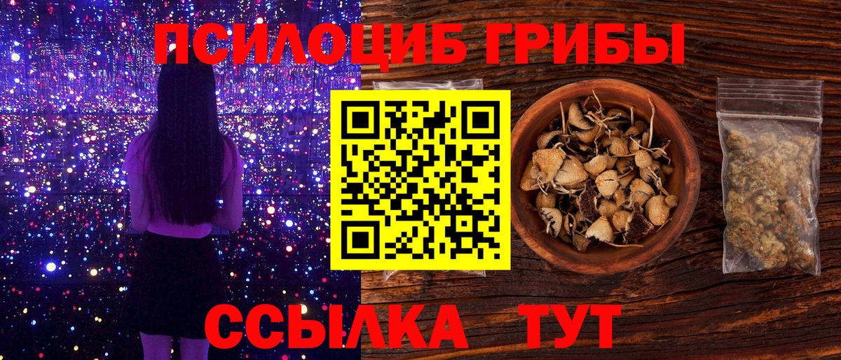 Галлюциногенные грибы Cubensis Ярцево